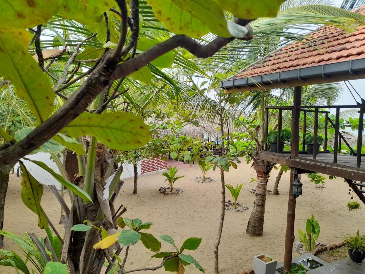Golden Beach Chalets Аругам-Бей Екстер'єр фото